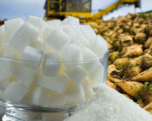 В Україні виробили 1,25 млн тонн цукру